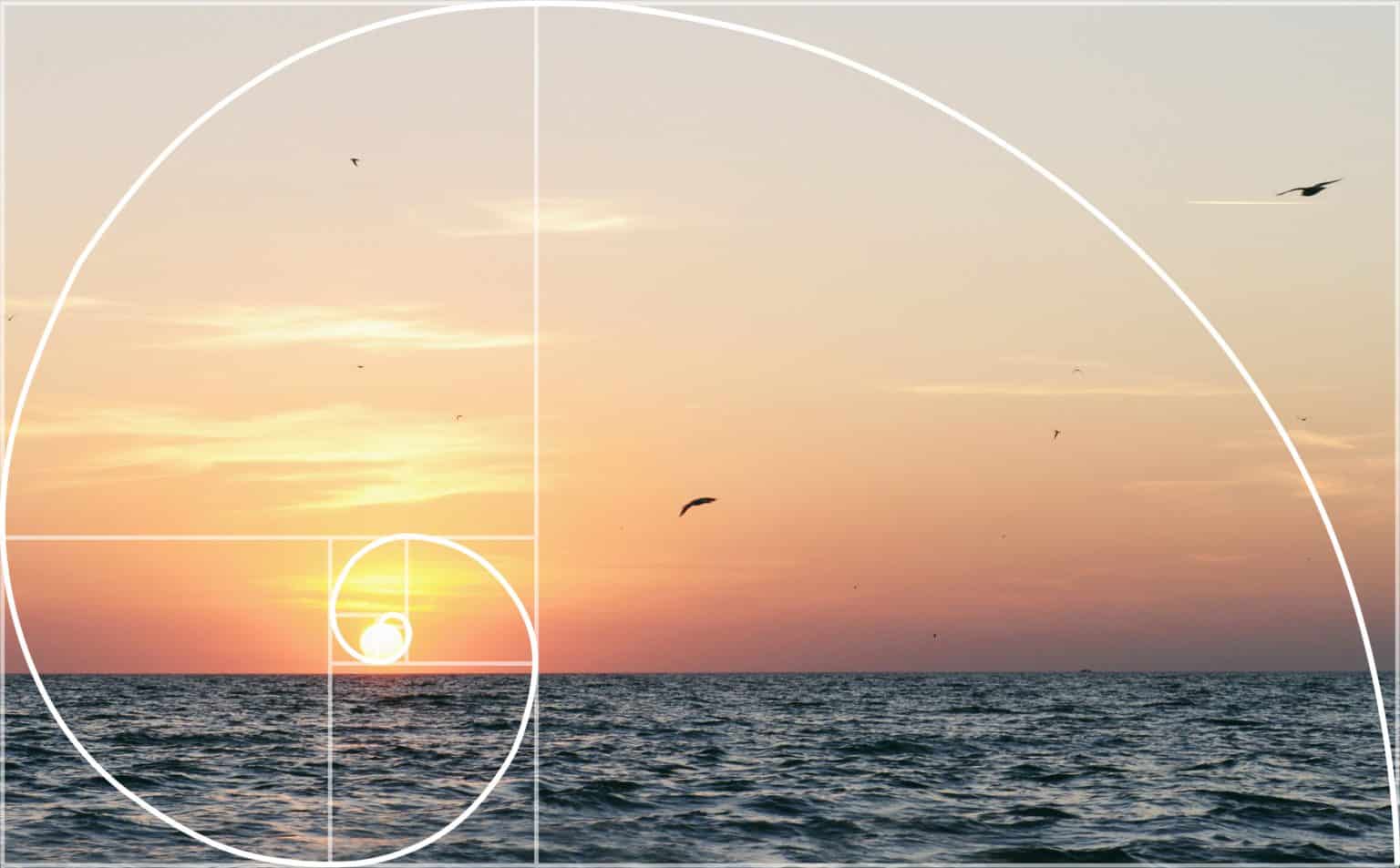 The Golden Ratio: How to Use It in Photography – Knowledge Hub