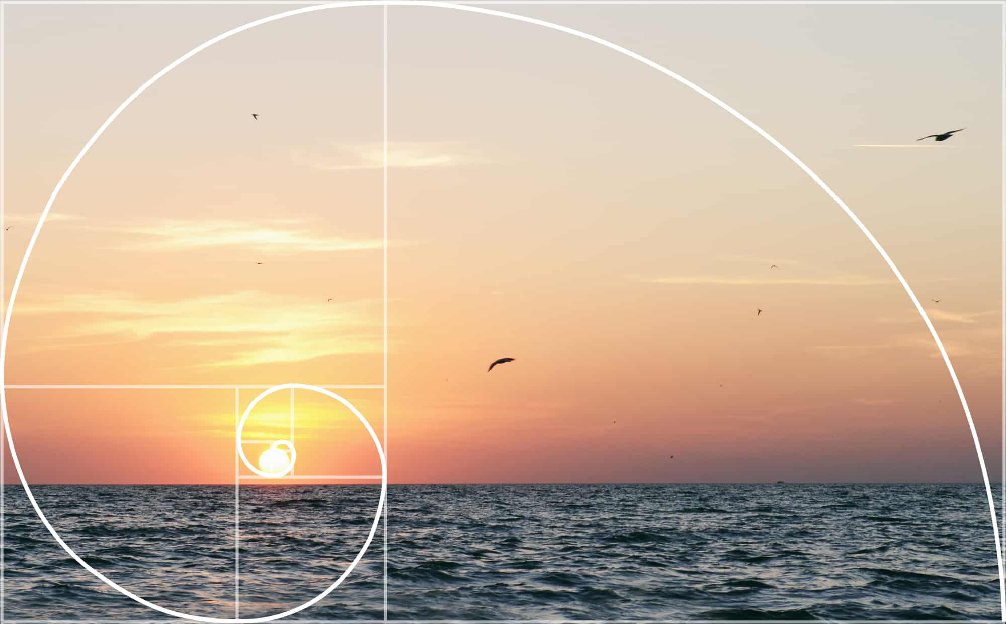 How to use the golden ratio in your photos