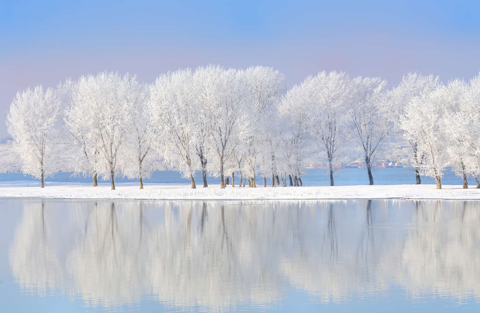 vertical symmetry in photography