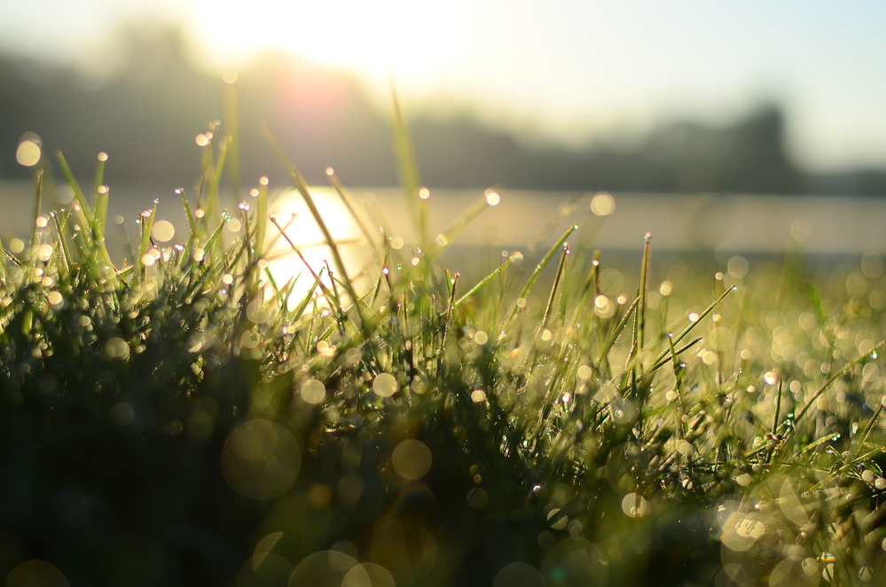 Camera, action! Take time to shoot memorable outdoor photography